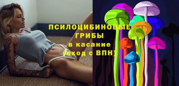 первитин Алексеевка