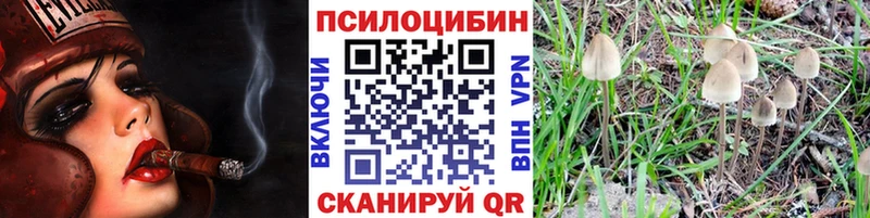 Псилоцибиновые грибы мухоморы  купить   Аргун 