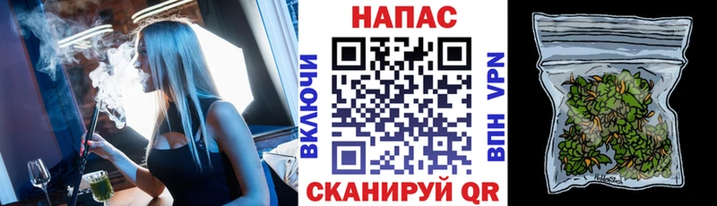 Конопля план  Аргун 